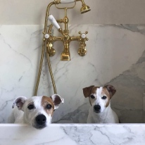 7a392cb4b98e96d0a8b948ba14953212